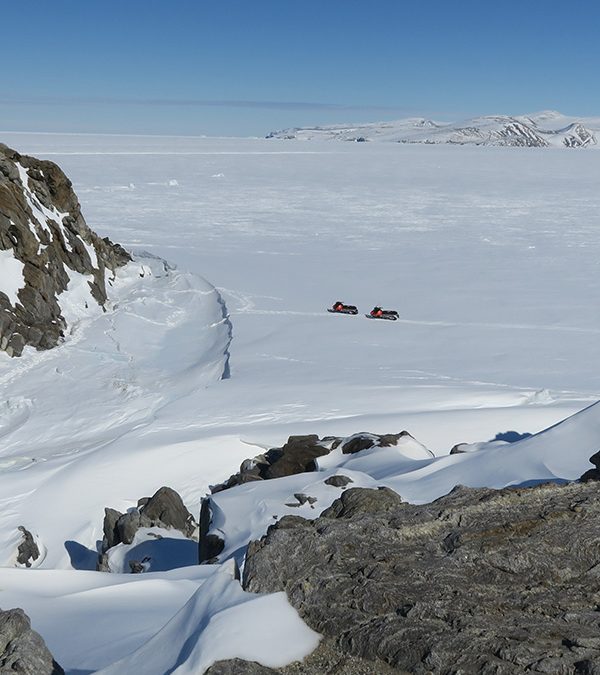 LIFE ON ROCKS. A SENSITIVE SUBSTRATE FOR POLAR TERRESTRIAL VEGETATION AND GLOBAL CHANGE